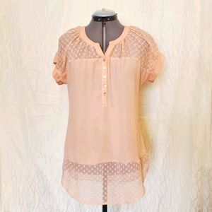 Daniel Rainn Short Sleeve Blouse